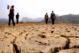 (Nguồn: koogle.tv)