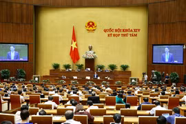 Toàn cảnh Kỳ họp thứ 8, Quốc hội khóa XIV. (Ảnh: Dương Giang/TTXVN)