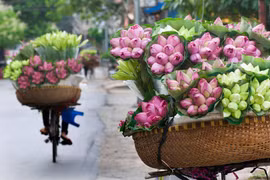 [Video] Hà Nội - Thành phố dịu dàng và quyến rũ kỳ lạ