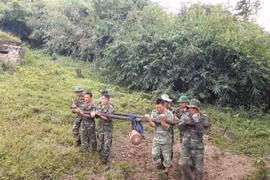 Vận chuyển, tập kết số bom, mìn đến điểm hủy nổ tại tỉnh An Giang. (Ảnh: Thanh Sang/TTXVN)