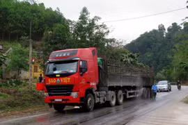 Cán bộ kiểm dịch phun thuốc khử trùng phương tiện lưu thông qua trạm. (Ảnh: Văn Tý/TTXVN) 