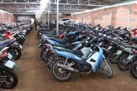 Lực lượng chức năng kiểm tra số xe máy trong các kho hàng của cơ sở cầm đồ. (Ảnh: Đậu Tất Thành/TTXVN)