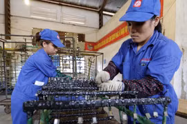 Các doanh nghiệp Nhật Bản đánh giá cao môi trường đầu tư kinh doanh của Việt Nam cũng như sự ổn định về chính trị, xã hội. (Ảnh: Trần Việt/TTXVN) 