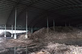 Rác được tập kết phía sau nhà máy gây ô nhiễm môi trường. (Ảnh: Huỳnh Thế Anh/TTXVN)