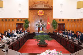Phó Thủ tướng Thường trực Chính phủ Trương Hòa Bình tiếp ông Kamal Malhotra, Điều phối viên thường trú Liên hợp quốc và Trưởng đại diện các tổ chức Liên hợp quốc tại Việt Nam. (Ảnh: Doãn Tấn/TTXVN)