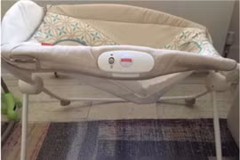 Nôi rung Rock' n Play có thể rất nguy hiểm với trẻ sơ sinh 3 tháng. (Nguồn: Amazon)