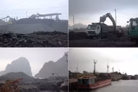 Hoạt động tuyển rửa, tuồn bán xít, than diễn ra rầm rộ tại khu vực phường Cẩm Thịnh. (Ảnh: P.V/Vietnam+)