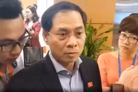 Thứ trưởng Bộ Ngoại giao Bùi Thanh Sơn chia sẻ với báo chí bên hành lang Quốc hội. (Ảnh: PV/Vietnam+)