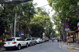 (Ảnh minh họa: Huy Hùng/TTXVN)