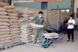 Trong thời gian tới, giá các mặt hàng vật liệu xây dựng như gạch đá, ximăng... được dự báo sẽ còn tiếp tục tăng, do ảnh hưởng từ giá nhiên liệu. (Ảnh: TTXVN)