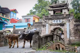 Ngôi làng cổ còn lưu giữ những vệt thời gian ở ngoại thành Hà Nội