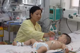 TP.HCM: Nhiều dịch bệnh “hạ nhiệt” trong mùa nắng nóng 