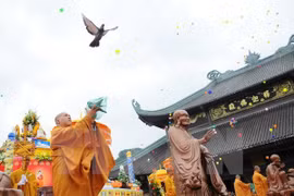 Ảnh minh họa. (Nguồn: TTXVN)