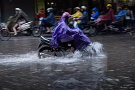 Ảnh minh họa. (Ảnh: Huy Hùng/TTXVN)