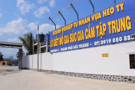 Giả danh cán bộ Bộ NN&PTNT để lừa đảo chiếm đoạt tài sản