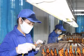 Công nhân quốc phòng làm việc tại Công ty Hóa chất 21 thuộc Bộ Quốc phòng. (Ảnh: Thái Bình/TTXVN)