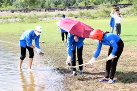 Lực lượng đoàn viên, thanh niên xã Thường Nga tập trung thu gom cá chết đem chôn lấp. (Ảnh: Công Tường/TTXVN)