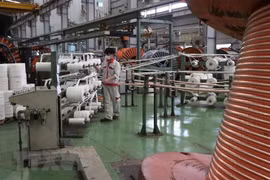 Hoạt động sản xuất tại Nhà máy Bắc Dương, chi nhánh Công ty Cổ phần Dây và Cáp điện Thượng Đình. (Ảnh: Mạnh Minh/TTXVN)