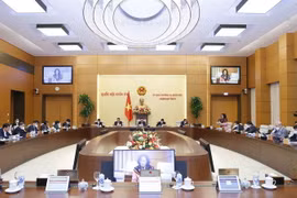 Quang cảnh phiên họp. (Ảnh: Doãn Tấn/TTXVN)