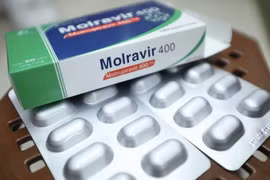 Thuốc điều trị COVID-19 chứa hoạt chất Monulpiravir chính hãng cho bệnh nhân F0 điều trị tại nhà. (Ảnh: Minh Quyết/TTXVN)