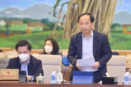 Thứ trưởng Bộ Giao thông Vận tải Nguyễn Duy Lâm trình bày báo cáo. (Ảnh: Doãn Tấn/TTXVN)