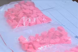 (Ảnh minh họa: Trịnh Duy Hưng/TTXVN)