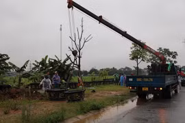 UBND xã Tân Tiến huy động lực lượng, máy móc tháo dỡ công trình, di chuyển cây cối trên đất của các cá nhân ra khỏi vị trí vi phạm. (Nguồn: baovinhphuc.com.vn)