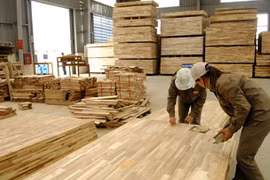 Ảnh minh họa. (Nguồn: moit.gov.vn)