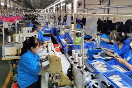 Người lao động đang làm việc trong doanh nghiệp đáp ứng đủ các điều kiện, được Nhà nước hỗ trợ 500.000 đồng/người/tháng; thời gian hỗ trợ tối đa 3 tháng. (Ảnh: Thanh Liêm/TTXVN)