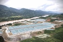 Những chiếc bể chứa chất thải chăn nuôi của trang trại lợn nằm lộ thiên ngay sát bờ sông Hồng. (Ảnh: Tuấn Anh/TTXVN)