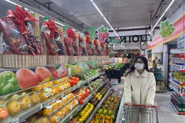Hàng hóa Tết dồi dào trên kệ các siêu thị để người dân thỏa sức mua sắm. (Ảnh minh họa: Minh Hiếu/Vietnam+)