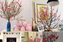 Năm nay, người dân có xu hướng chuyển sang chọn mua những cành đào nhỏ xinh, cắm trên bàn trà, bàn ăn hay đặt trên cửa sổ... (Ảnh minh họa)