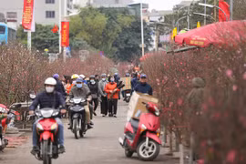 [Video] Người dân tấp nập mua sắm đào Tết tại chợ hoa lớn nhất Thủ đô