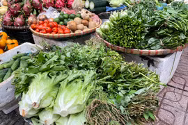 Mặt hàng rau xanh đang tăng 'nóng' tại các chợ trên địa bàn thành phố Hà Nội. (Ảnh: PV/Vietnam+)
