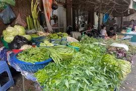 Giá rau xanh đã giảm tại các chợ và siêu thị. (Ảnh: PV/Vietnam+)