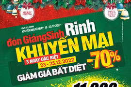 Các trung tâm điện máy giảm sâu nhiều sản phẩm dịp lễ Giáng sinh. (Ảnh chụp màn hình)