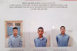 Hình ảnh đối tượng của vụ án. (Ảnh: Doãn Tấn/TTXVN)