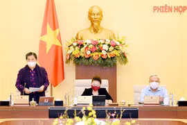 Phó Chủ tịch Thường trực Quốc hội Tòng Thị Phóng phát biểu. (Ảnh: Trọng Đức/TTXVN)