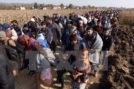 Người di cư di chuyển tới trại tị nạn ở Rigonce, gần biên giới với Croatia. (Nguồn: AFP/TTXVN)