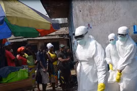 WHO chuẩn bị tổ chức hội nghị quốc tế về dịch Ebola