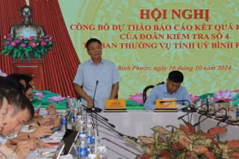 Phó Thủ tướng Lê Thành Long phát biểu tại buổi làm việc. (Ảnh: Đậu Tất Thành/TTXVN)