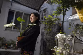 Góc vườn nhỏ của Baik Soo Hye. (Nguồn: Korea Times)
