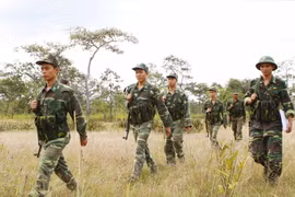 Các chiến sỹ trinh sát Đồn Biên phòng Ea H'leo (745), Đắk Lắk tuần tra khu vực vành đai biên giới. (Ảnh: Dương Giang/TTXVN)