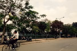 Trời có nắng hanh xua tan cảm giác rét buốt ở các tỉnh Bắc Bộ