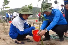 EVN phát động trồng cây hưởng ứng Chiến dịch Giờ Trái đất 2015