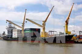 Bốc dỡ container tại cảng biển Hải Phòng của Vinalines. (Ảnh: Thế Duyệt/TTXVN) 
