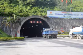Ảnh minh họa. (Ảnh: Việt Hùng/Vietnam+)