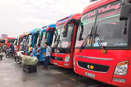 Bộ Giao thông yêu cầu các đơn vị chức năng tăng cường kiểm tra sức khỏe của lái xe, đơn vị kinh doanh vận tải. (Ảnh: Việt Hùng/Vietnam+)
