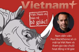 (Ảnh: Thanh Trà/Vietnam+)