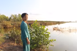 Nhiều người dân huyện Giá Rai, tỉnh Bạc Liêu "bỏ lúa," chuyển sang nuôi tôm. (Ảnh: Hùng Võ/Vietnam+)